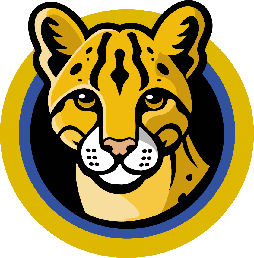 Logo Marca UNACH
