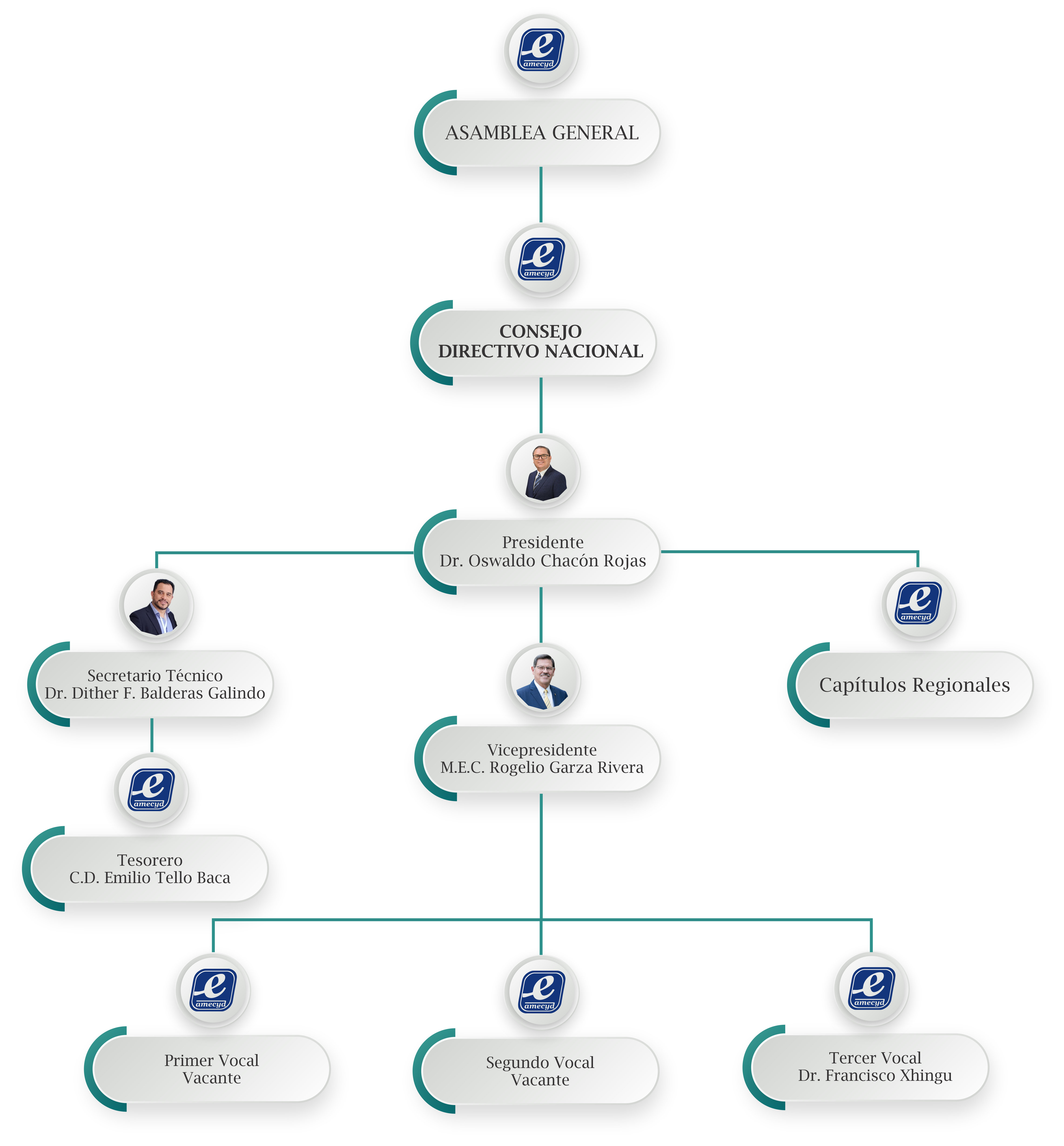 Estructura organizacional